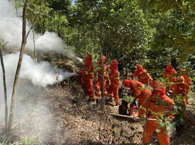 防汛常規(guī)物資|消防滅火裝備|消防救援裝備|水域救援救生|應(yīng)急照明設(shè)備|防汛與應(yīng)急包|水泵發(fā)電機(jī)類|救生救援儀器