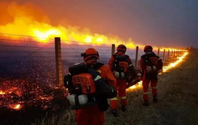 嚴防森林火災，守牢紅線底線