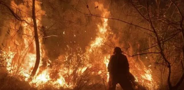 明火已撲滅,初步判斷由祭祀用火引發!今年已發生多起